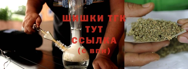 прущий лед Богданович