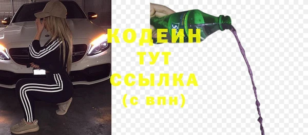 прущий лед Богданович