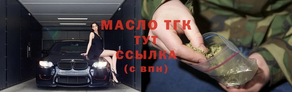 прущий лед Богданович