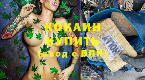 амф Бородино