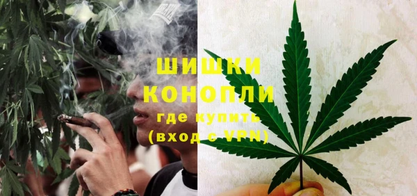 амф Бородино