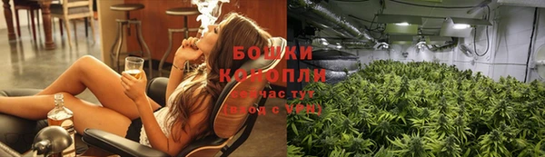прущие грибы Богородск