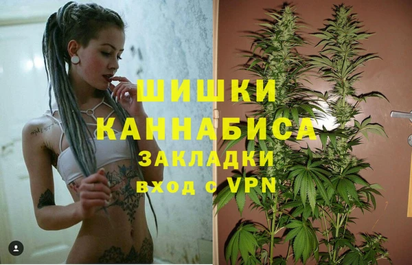 прущий лед Богданович