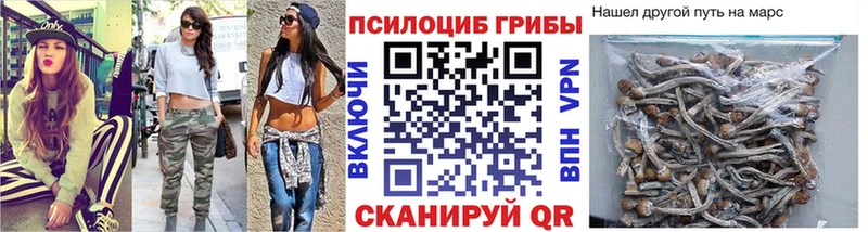 Галлюциногенные грибы прущие грибы  Нелидово 